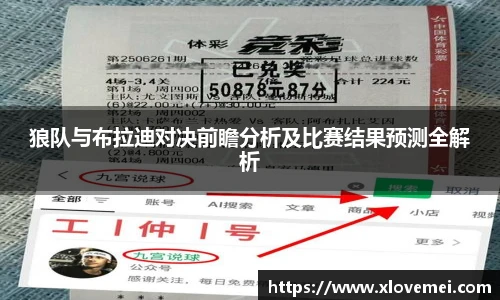 狼队与布拉迪对决前瞻分析及比赛结果预测全解析